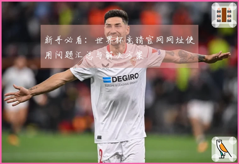 新手必看：世界杯竞猜官网网址使用问题汇总与解决方案
