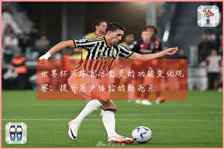 世界杯买球官方首页的功能变化观察：提升用户体验的新亮点