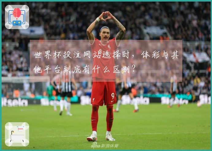 世界杯投注网站选择时，体彩与其他平台到底有什么区别？