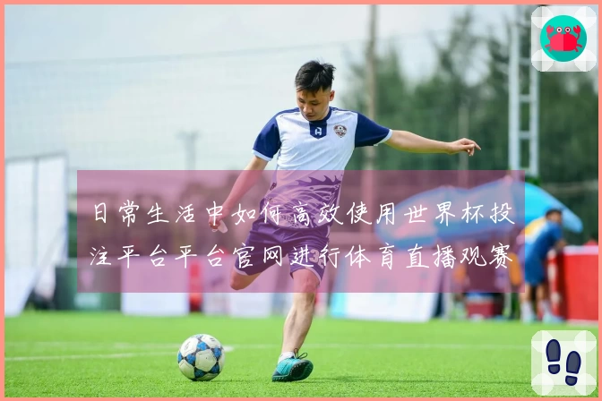 日常生活中如何高效使用世界杯投注平台平台官网进行体育直播观赛体验