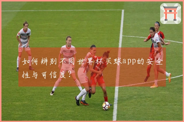 如何辨别不同世界杯买球app的安全性与可信度？