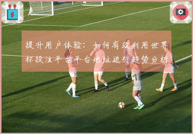 提升用户体验：如何有效利用世界杯投注平台平台地址进行趋势分析