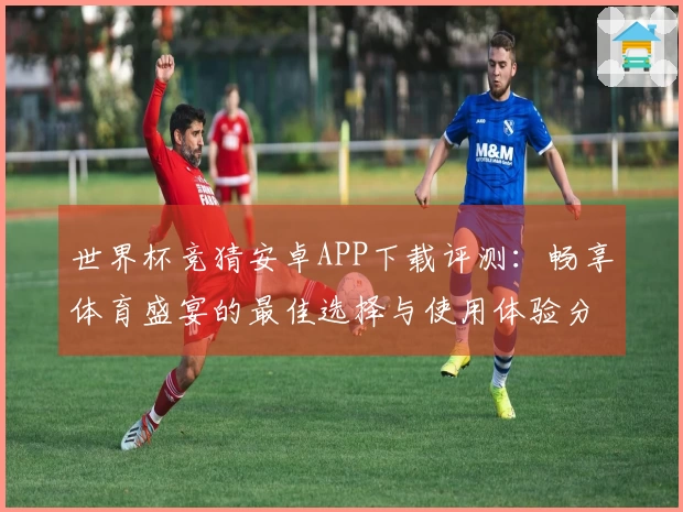 世界杯竞猜安卓APP下载评测:畅享体育盛宴的最佳选择与使用体验分享