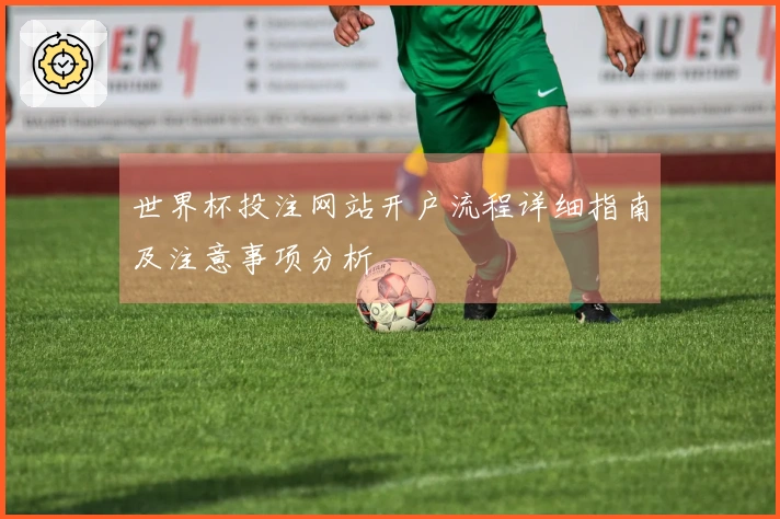 世界杯投注网站开户流程详细指南及注意事项分析