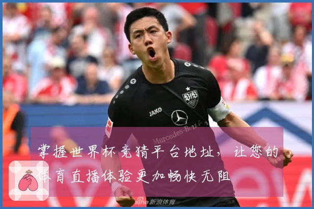 掌握世界杯竞猜平台地址，让您的体育直播体验更加畅快无阻