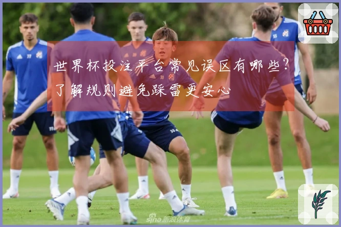 世界杯投注平台常见误区有哪些？了解规则避免踩雷更安心
