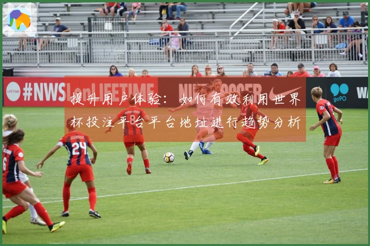 提升用户体验：如何有效利用世界杯投注平台平台地址进行趋势分析