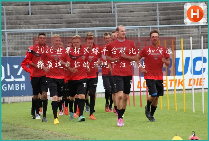 2026世界杯买球平台对比：如何选择最适合你的正规下注网站