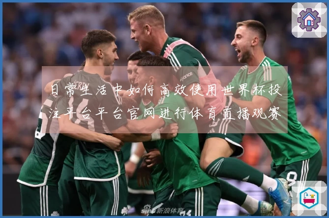 日常生活中如何高效使用世界杯投注平台平台官网进行体育直播观赛体验