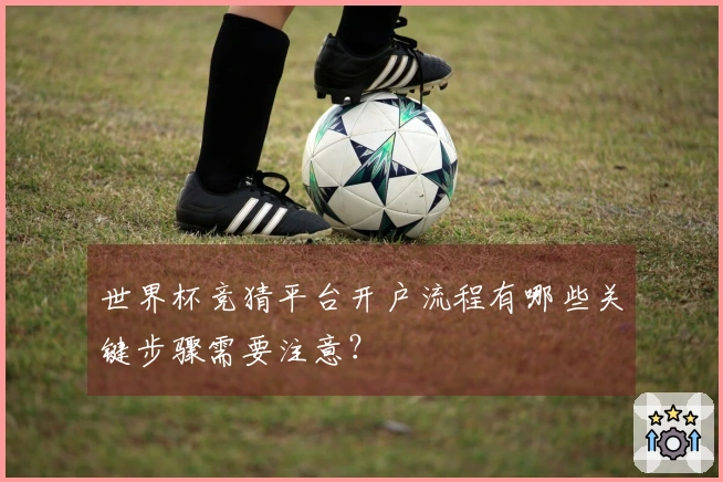 世界杯竞猜平台开户流程有哪些关键步骤需要注意？