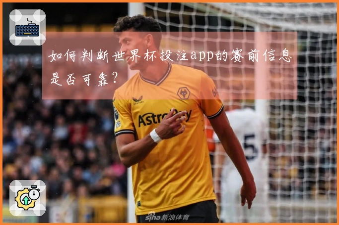 如何判断世界杯投注app的赛前信息是否可靠?