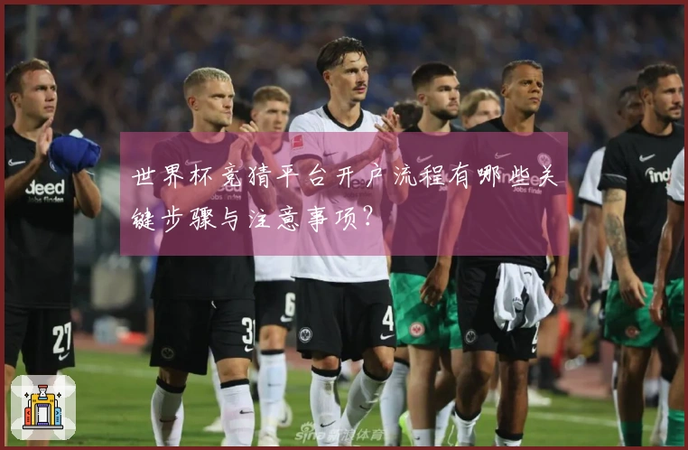 世界杯竞猜平台开户流程有哪些关键步骤与注意事项？