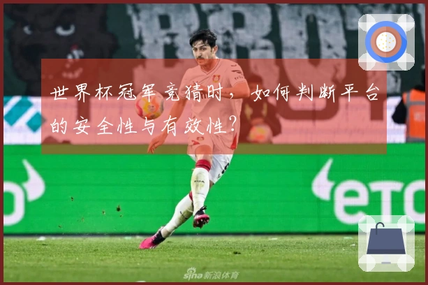 世界杯冠军竞猜时，如何判断平台的安全性与有效性？