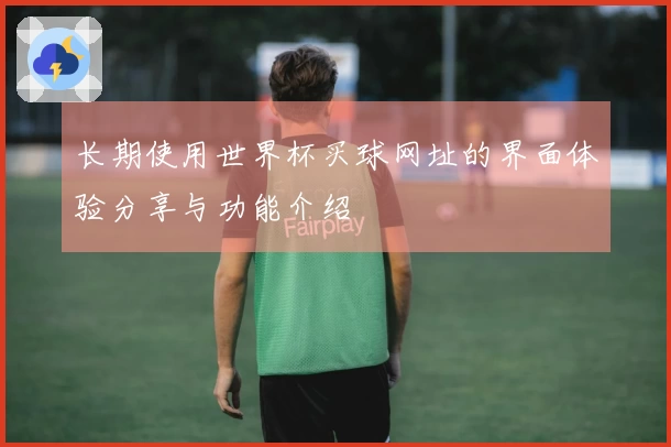 长期使用世界杯买球网址的界面体验分享与功能介绍